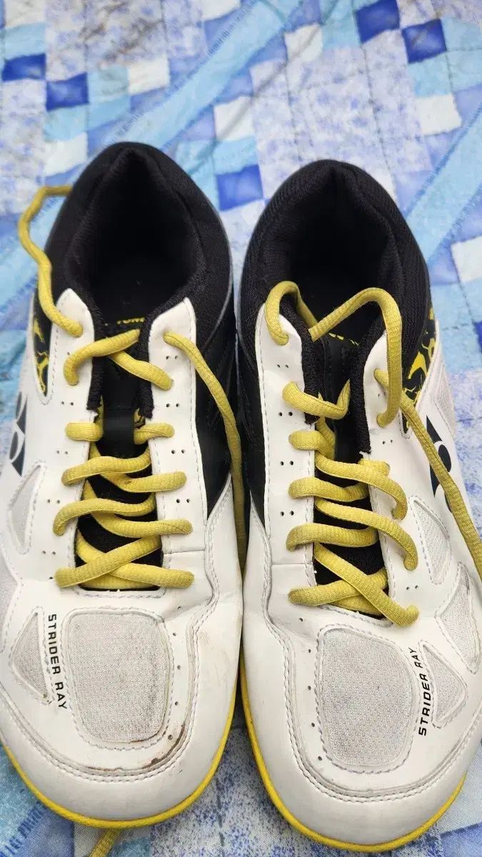 YONEX ヨネックス ストライダー レイ バドミントンシューズ 240