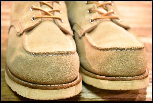 アイリッシュセッター