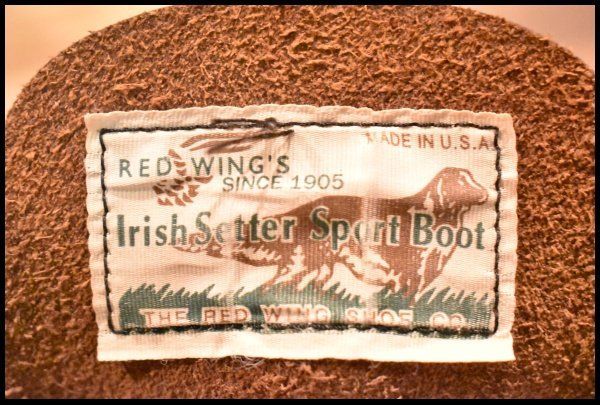 アイリッシュセッター