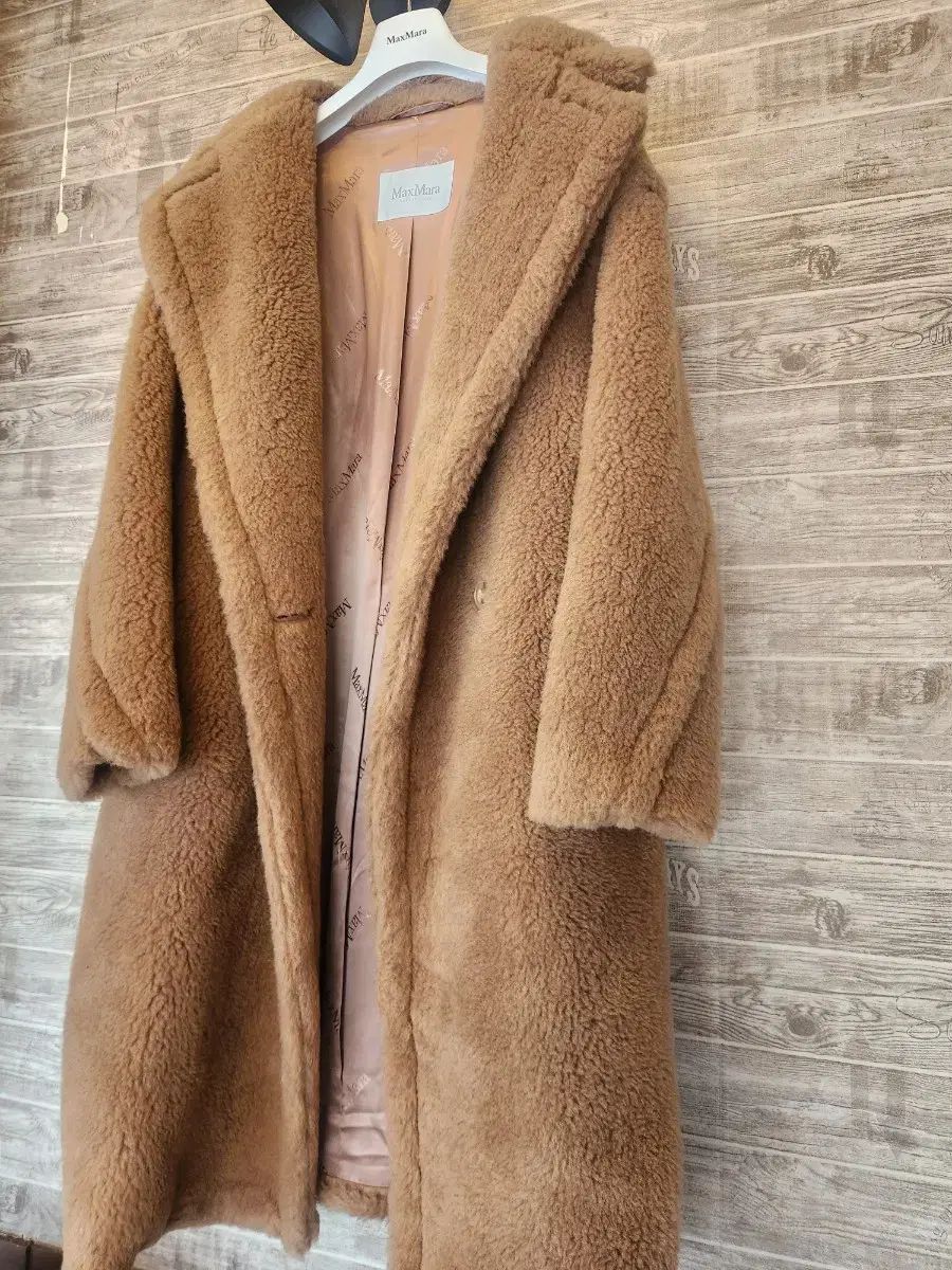 Teddy Bear アイコン コート