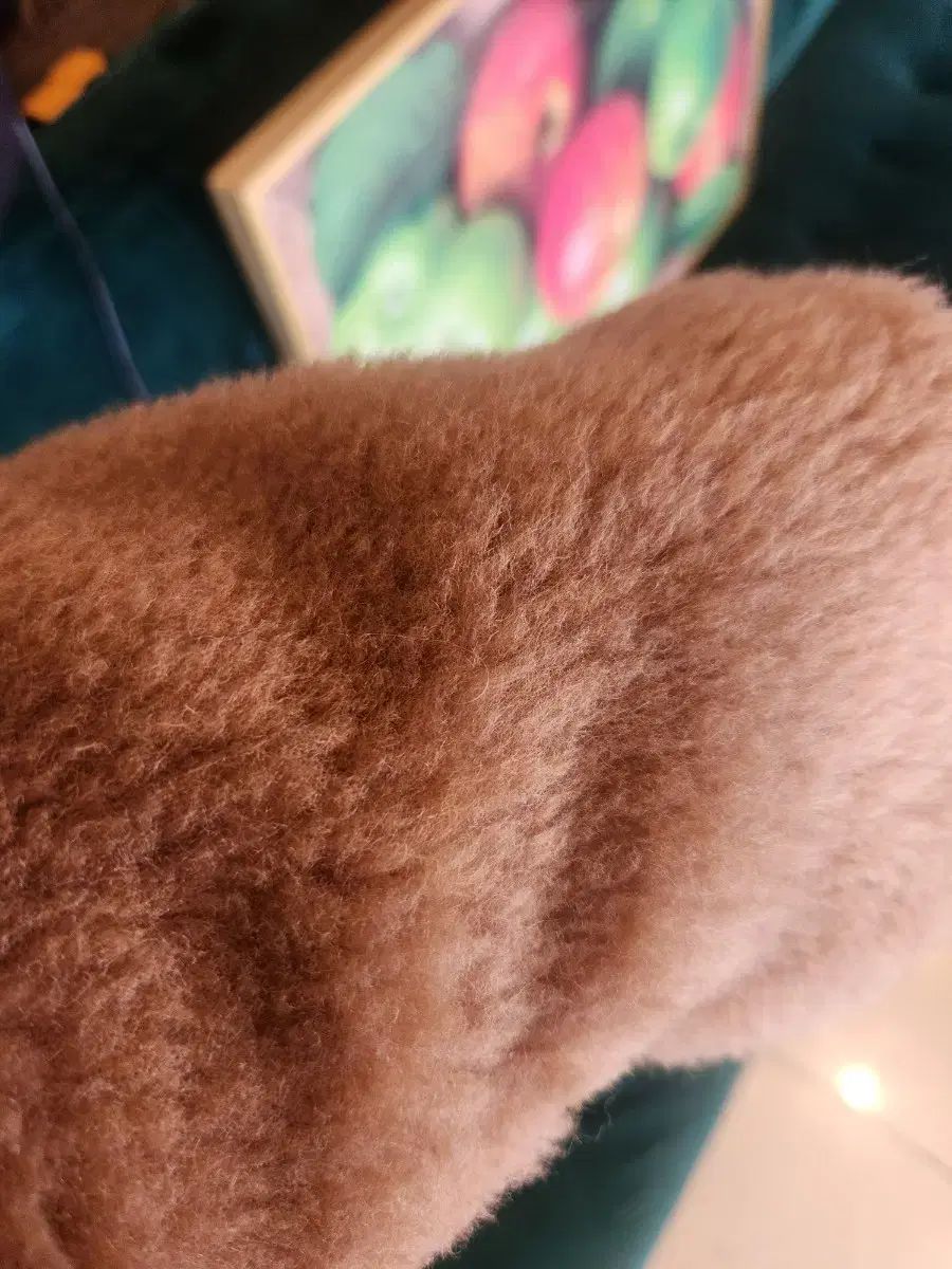 アイコン コート