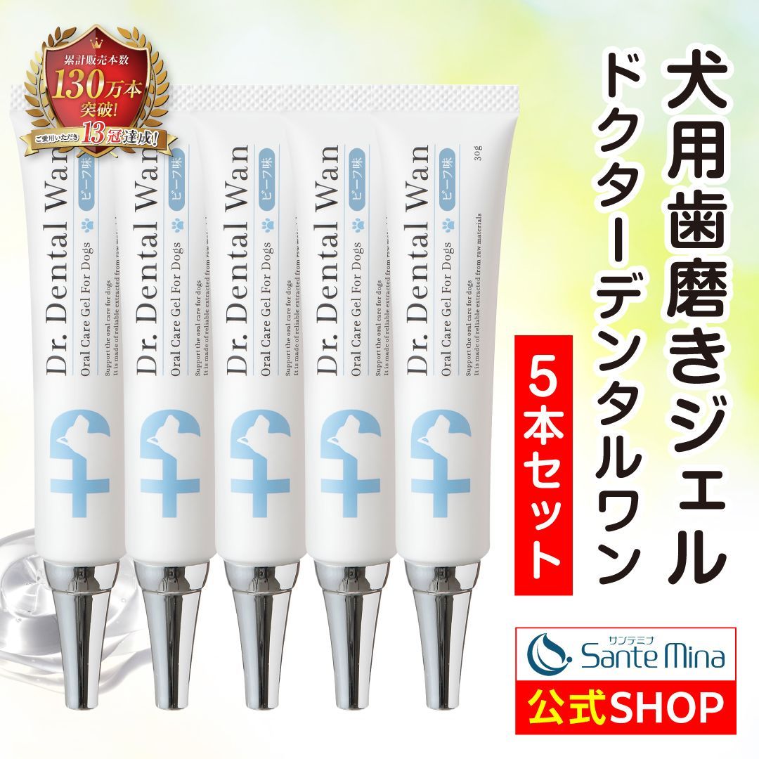 犬用 歯磨き ジェル メーカー ドクターデンタルワン 口臭 歯石 歯垢 口腔 デンタルケア Dr Dental Wan 製造 30 g 5 ビーフ味
