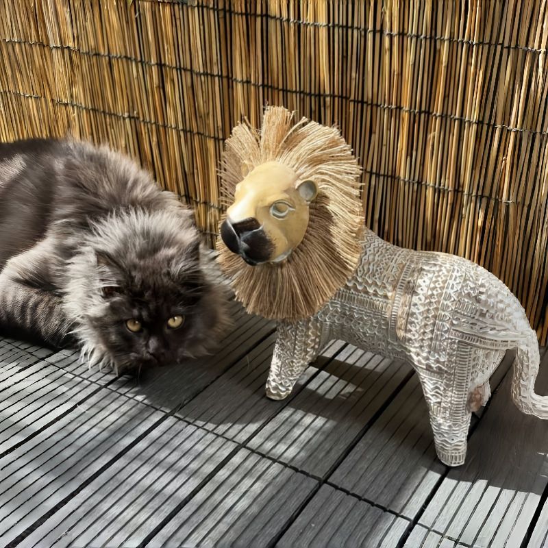 ガーデニング 庭