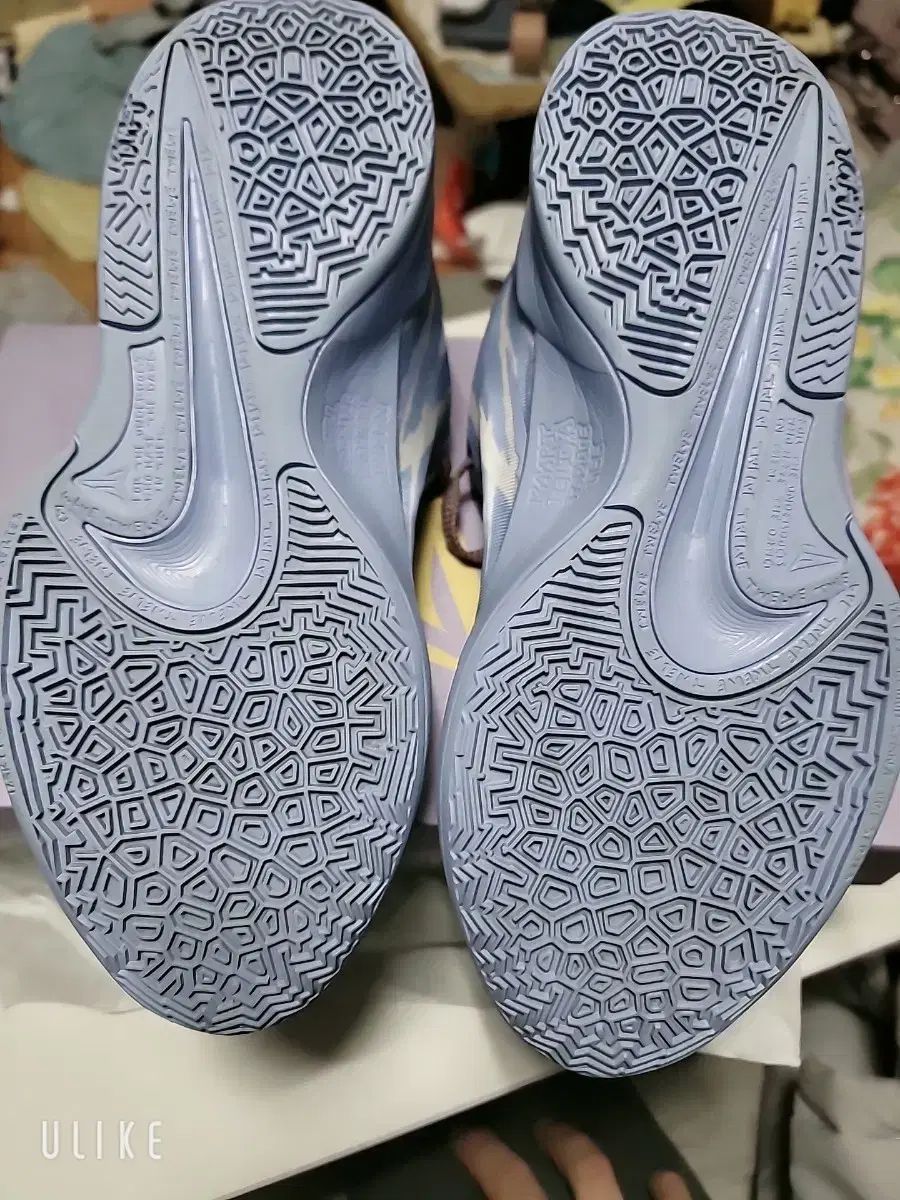 ナイキ ザ2 インダクション バスケシューズ ジャモラント