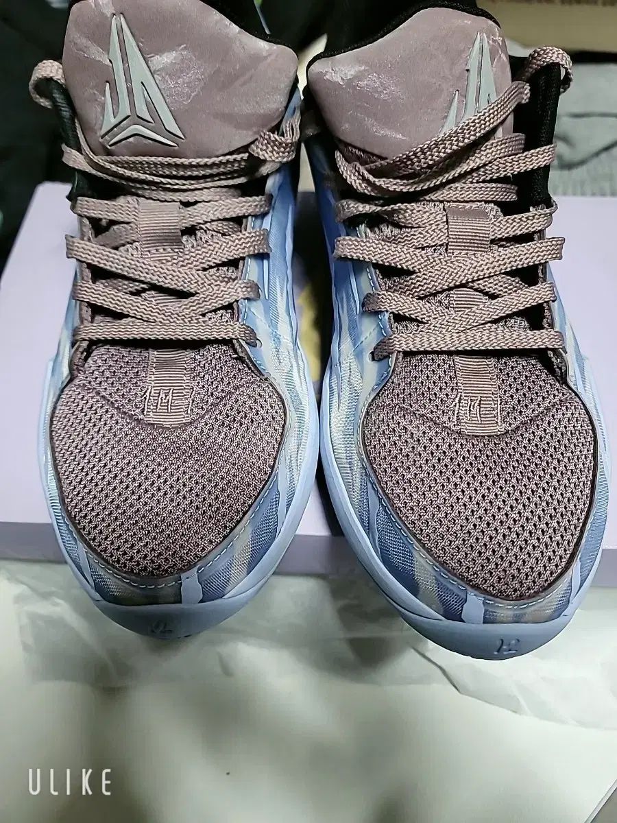 ナイキ ザ2 インダクション バスケシューズ ジャモラント