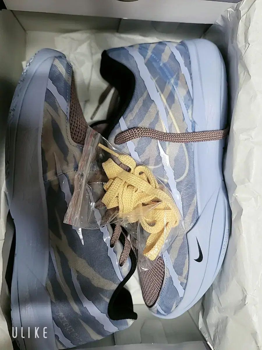  ナイキ ザ2 インダクション バスケシューズ ジャモラント シューズ(男性用) バスケットボール