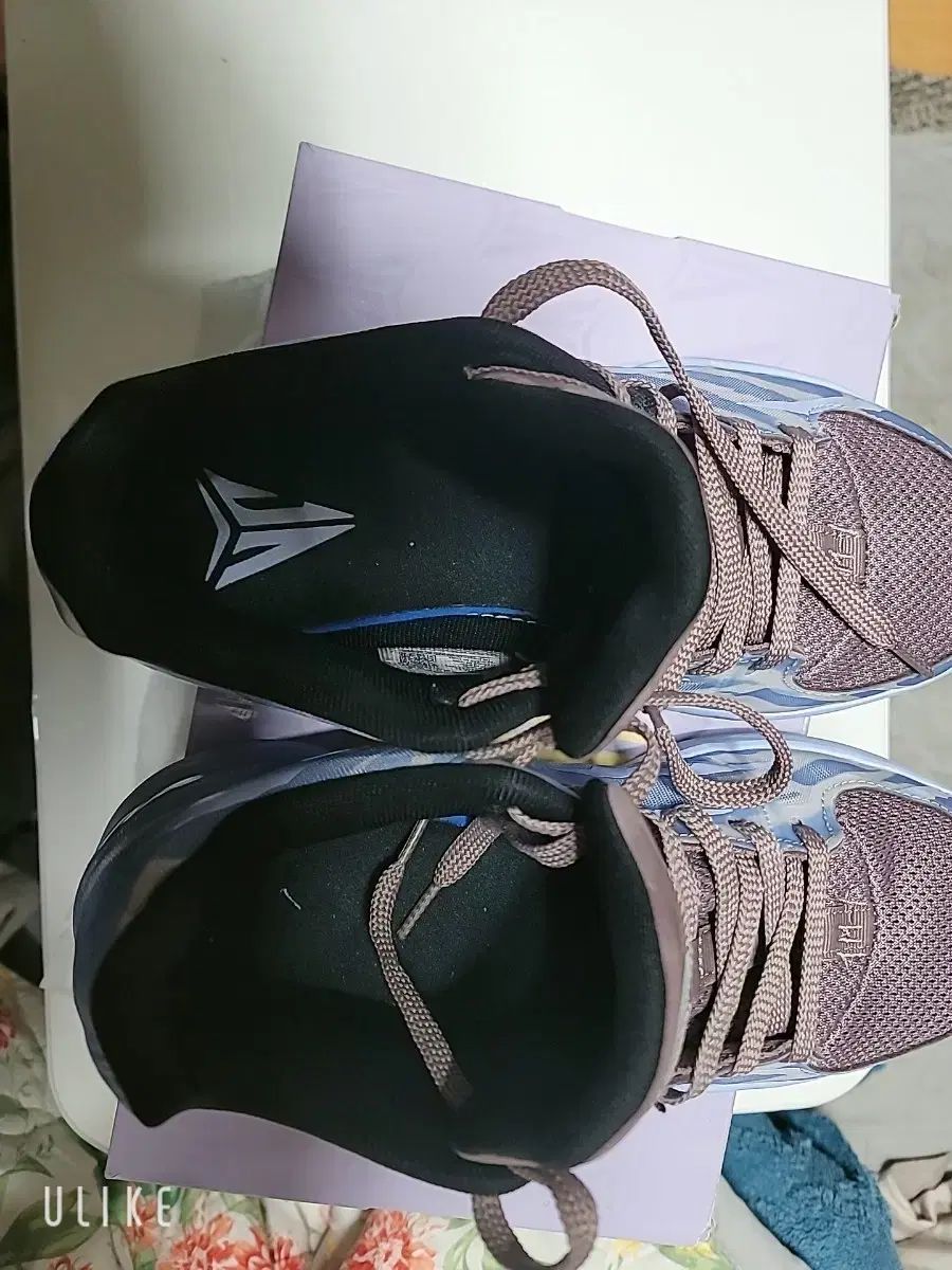 インダクション バスケシューズ