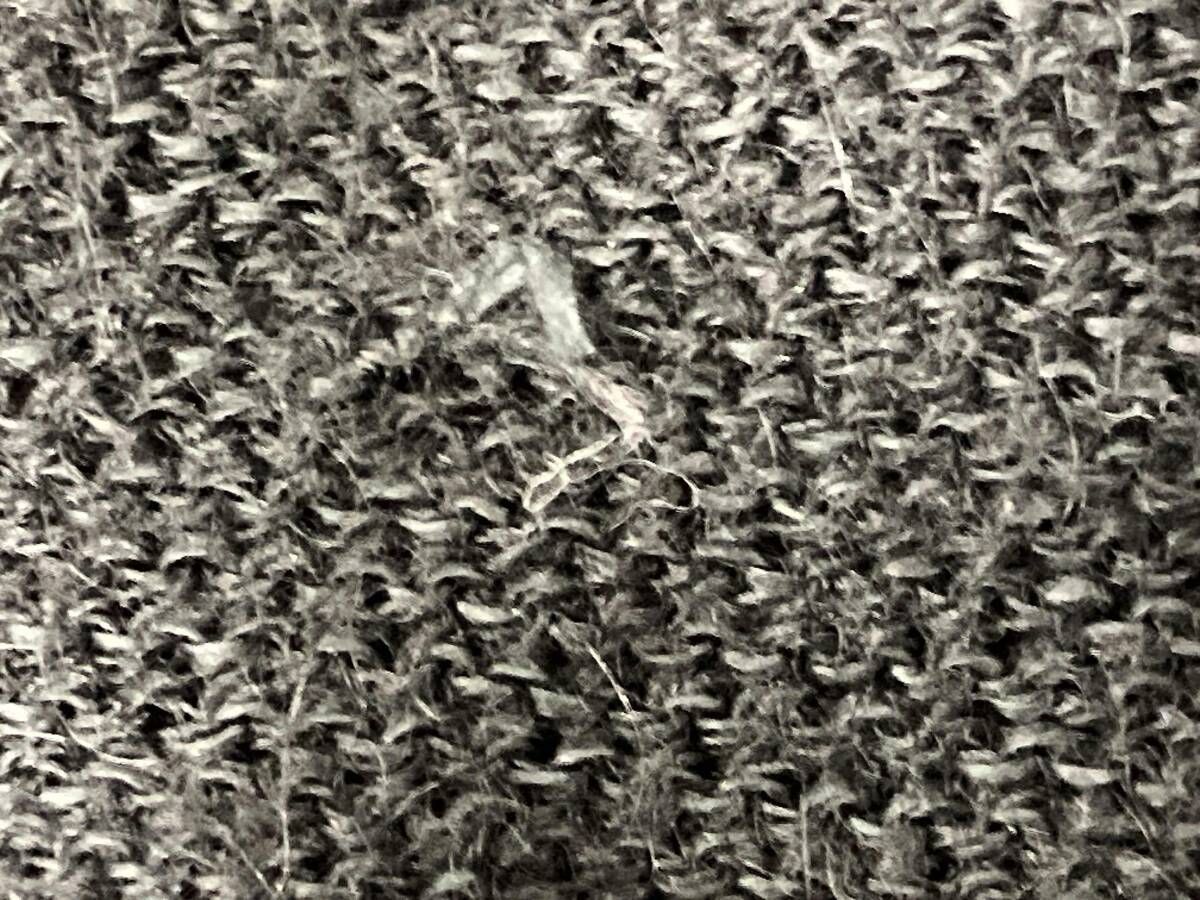 COMME des GARCONS HOMME/カーディガン/銀タグ／田中オム／AD2000/HN