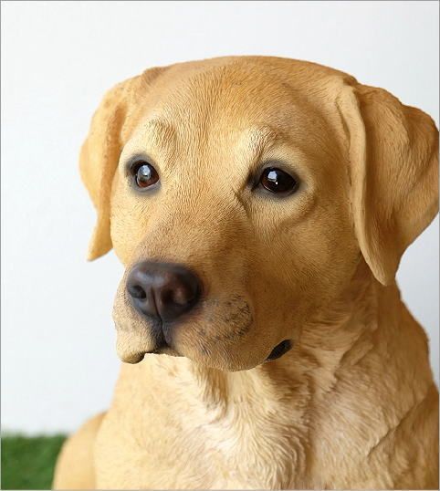 ラブラドール　置物　オブジェ　犬　いぬ　玄関　エントランス　オーナメント　ドッグ ラブラドール置物オブジェ犬いぬ玄関エントランスオーナメントドッグ