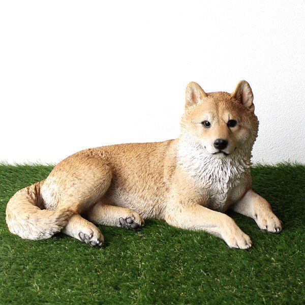 犬 置物 屋外 玄関 リアル 大型 大きい オブジェ イヌ いぬ 置き物 ドッグオーナメント インテリア 樹脂 ガーデン 庭 園芸 ガーデニング リビング かわいい ペット アニマル 動物 柴犬