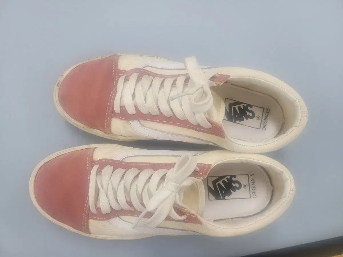 VANS 240 ヴァンズ 240