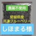 しほまる様専用 工場 冷凍ブルーベリー4キロ 1日10名様限定】フレッシュ