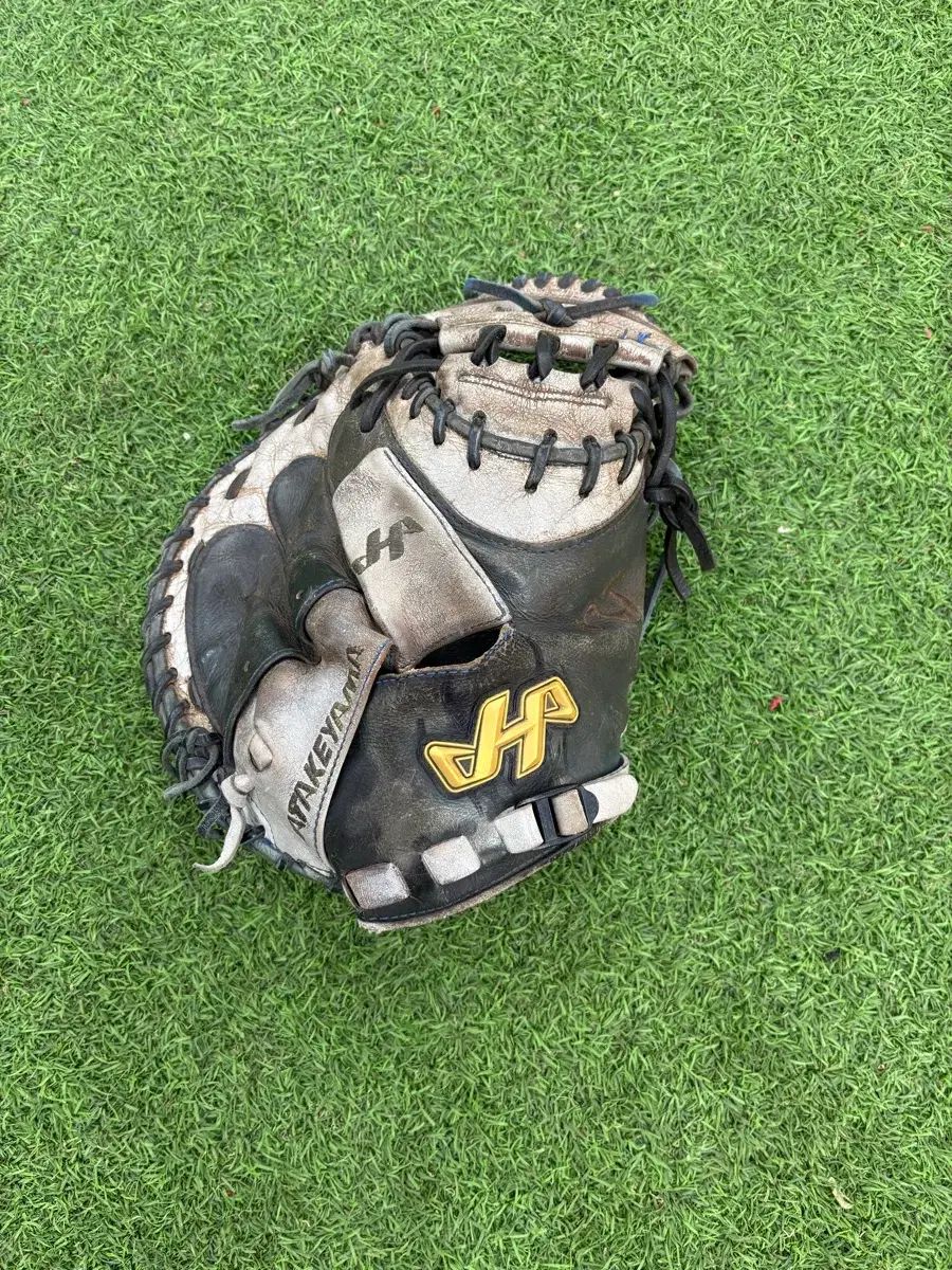 ハタケヤマ m 2 キャッチャーミット