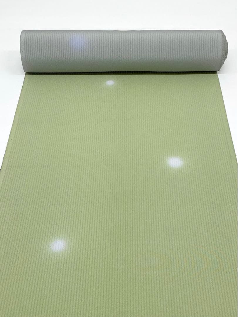 小紋 紋意匠 蛍ぼかし 志萬織 本檜染 正絹 反物 T 9192