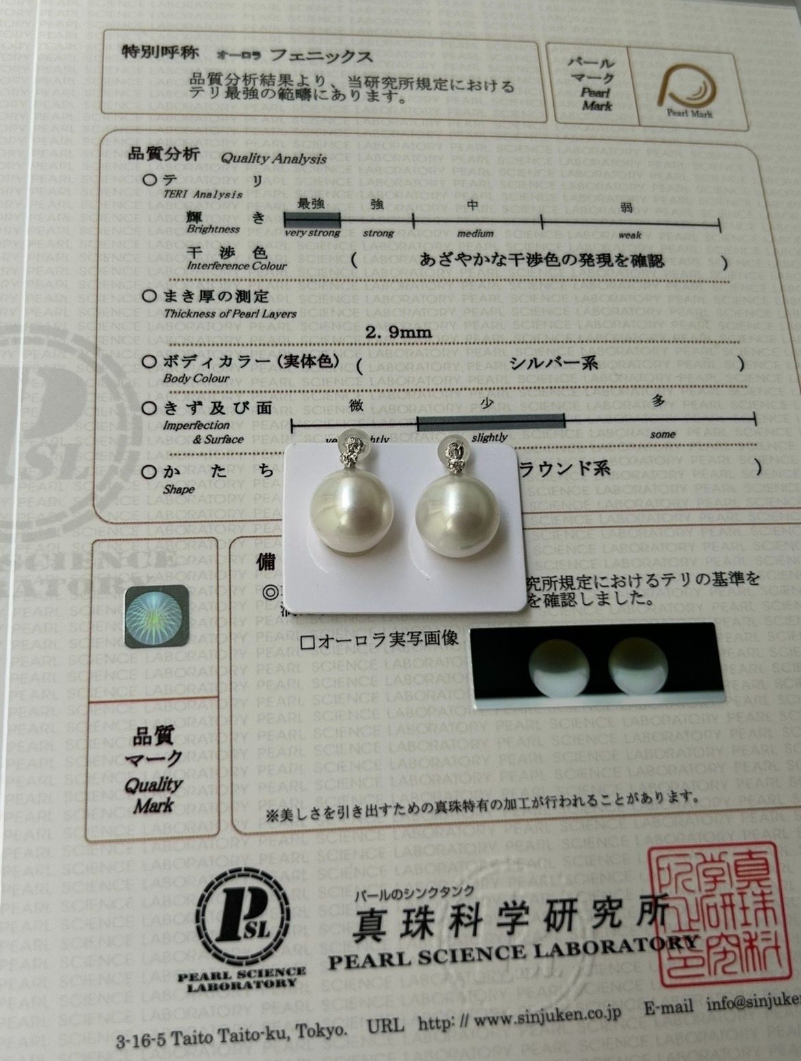 白蝶 真珠 南洋 パール ピアス 鳳凰 フェニックス K18WG ホワイト