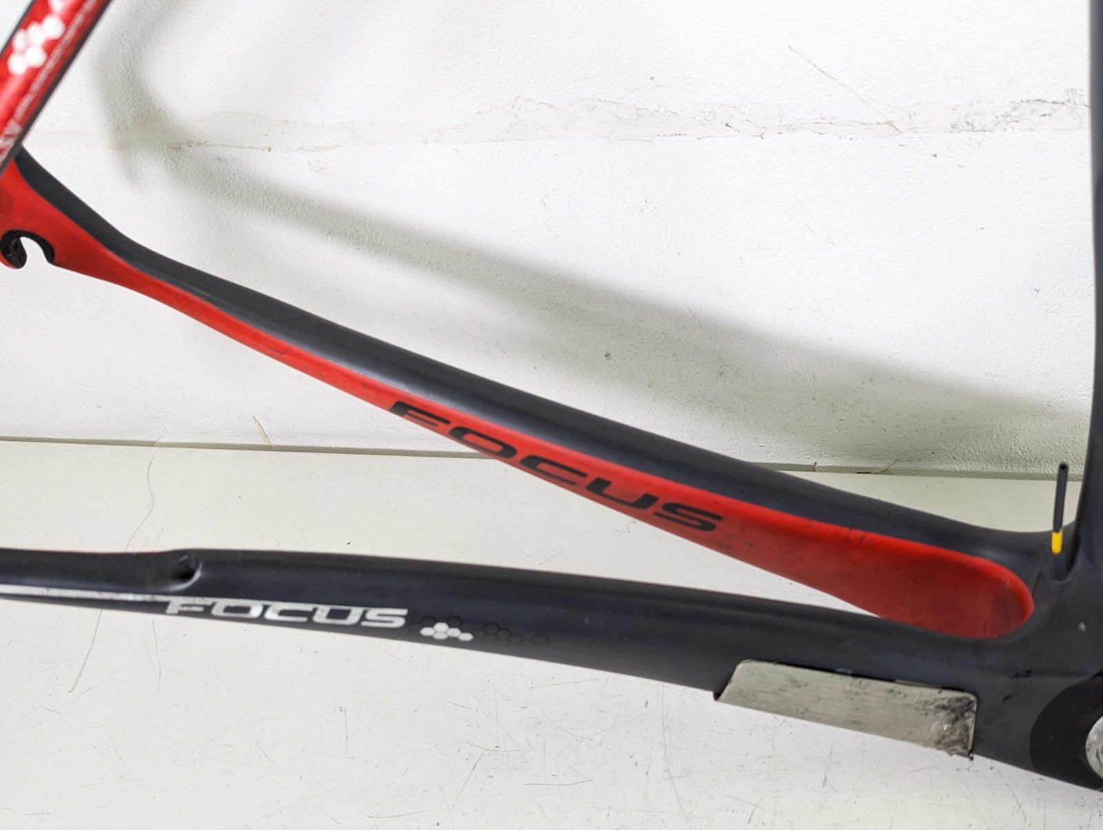 Focus Izalco