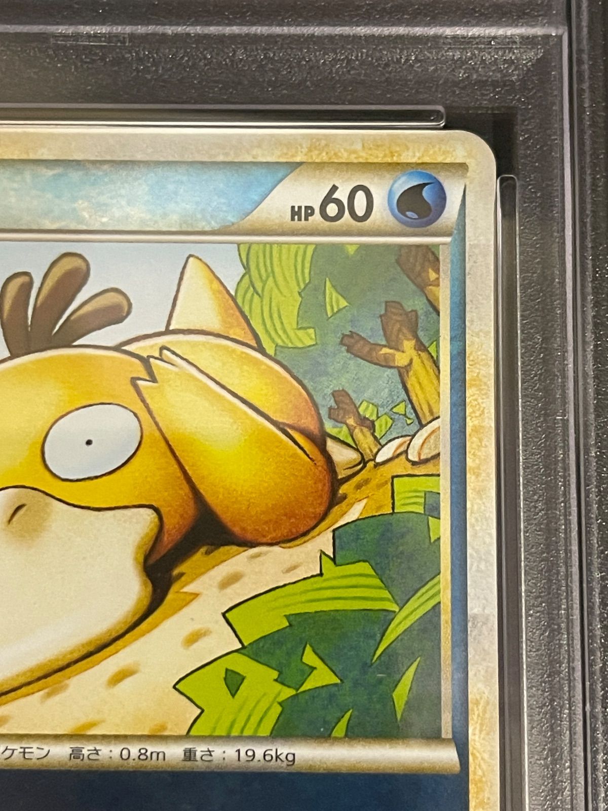 ポケモンカード 2010年 コダック 015/080 ミラー 1stED PSA8鑑定品
