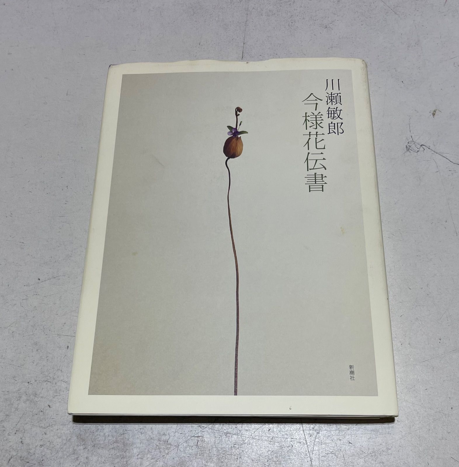 今様花伝書 川瀬敏郎著 - メルカリ