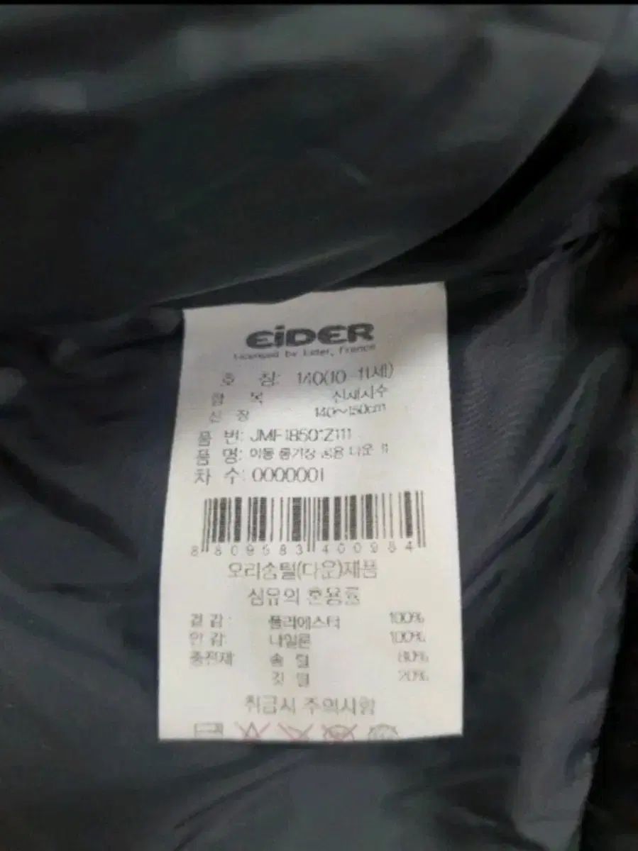 アイダー ジュニア