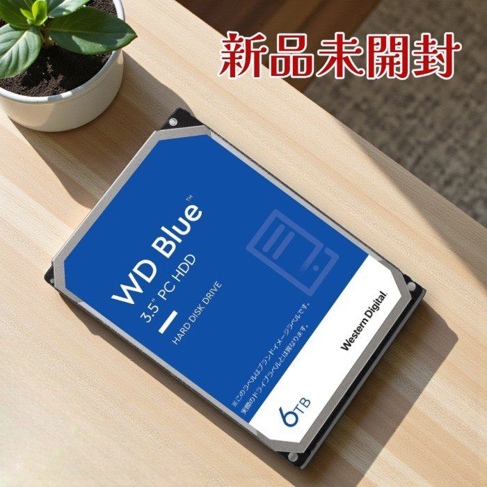Western Digital ウエスタンデジタル 内蔵HDD 6 TB 3.5インチ SATA CMR 5400 rpm 256 MBキャッシュ