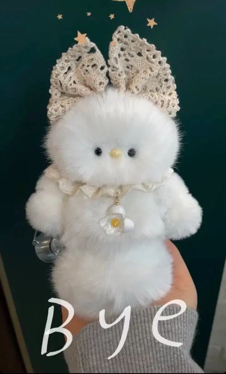 A076 アガベ トップ オアハカワイルド血統 ノーネーム メルカリ便 東曜植