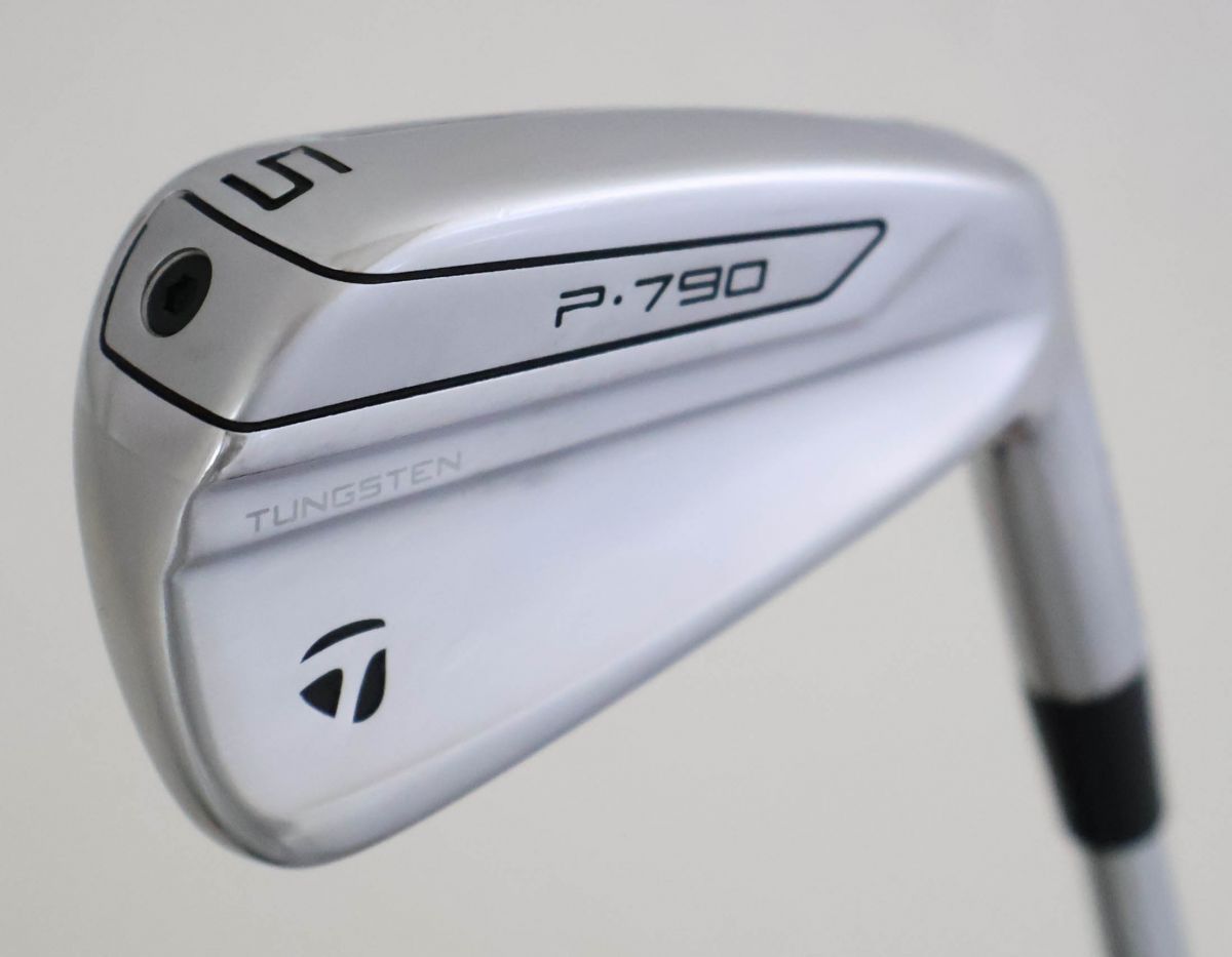 ○2019年発売モデル！テーラーメイド☆P・790アイアン ＃5 Dynamic