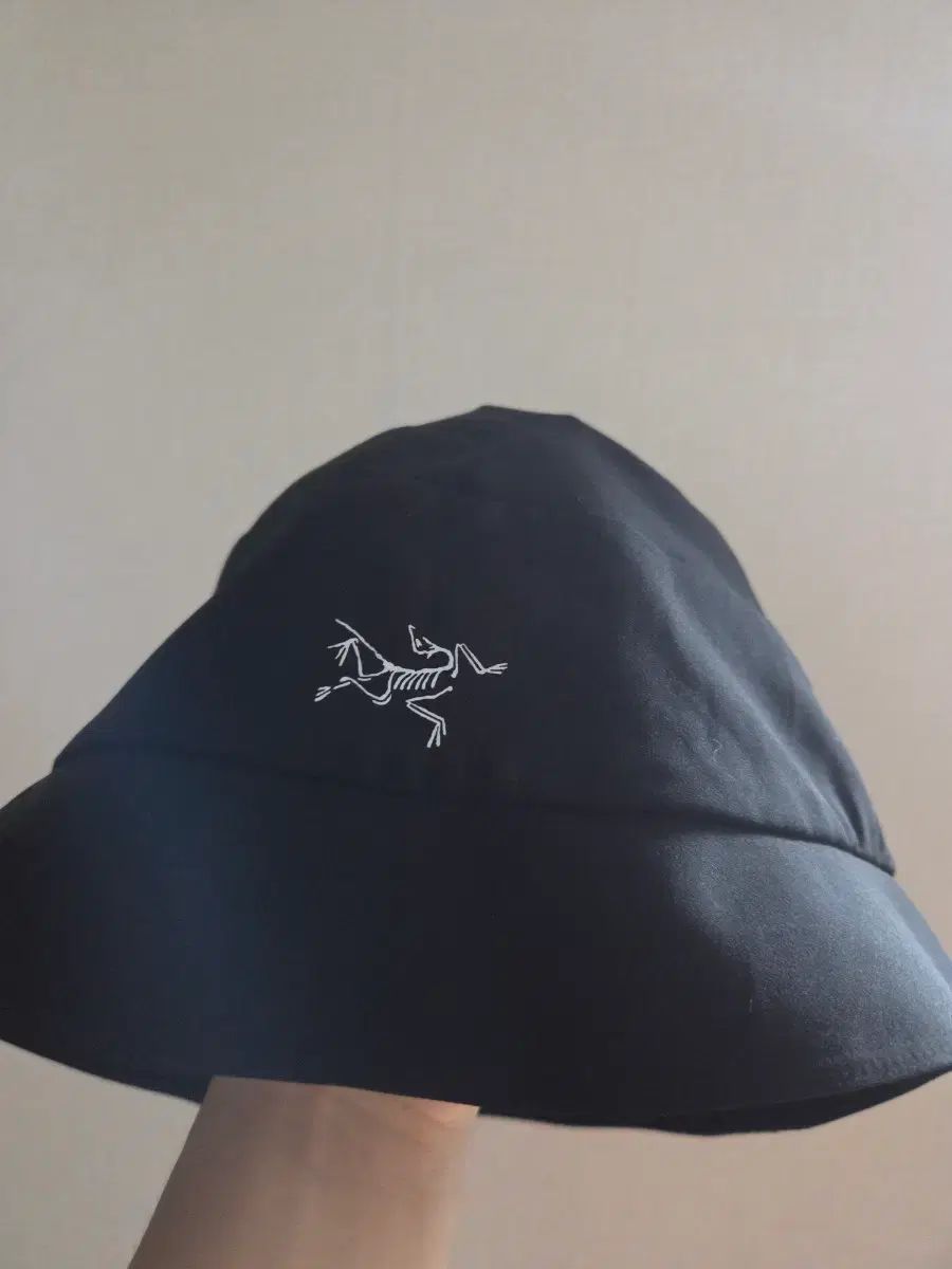 ARC'TERYX ARC'TERYX × PALACE パレス ハット noroll