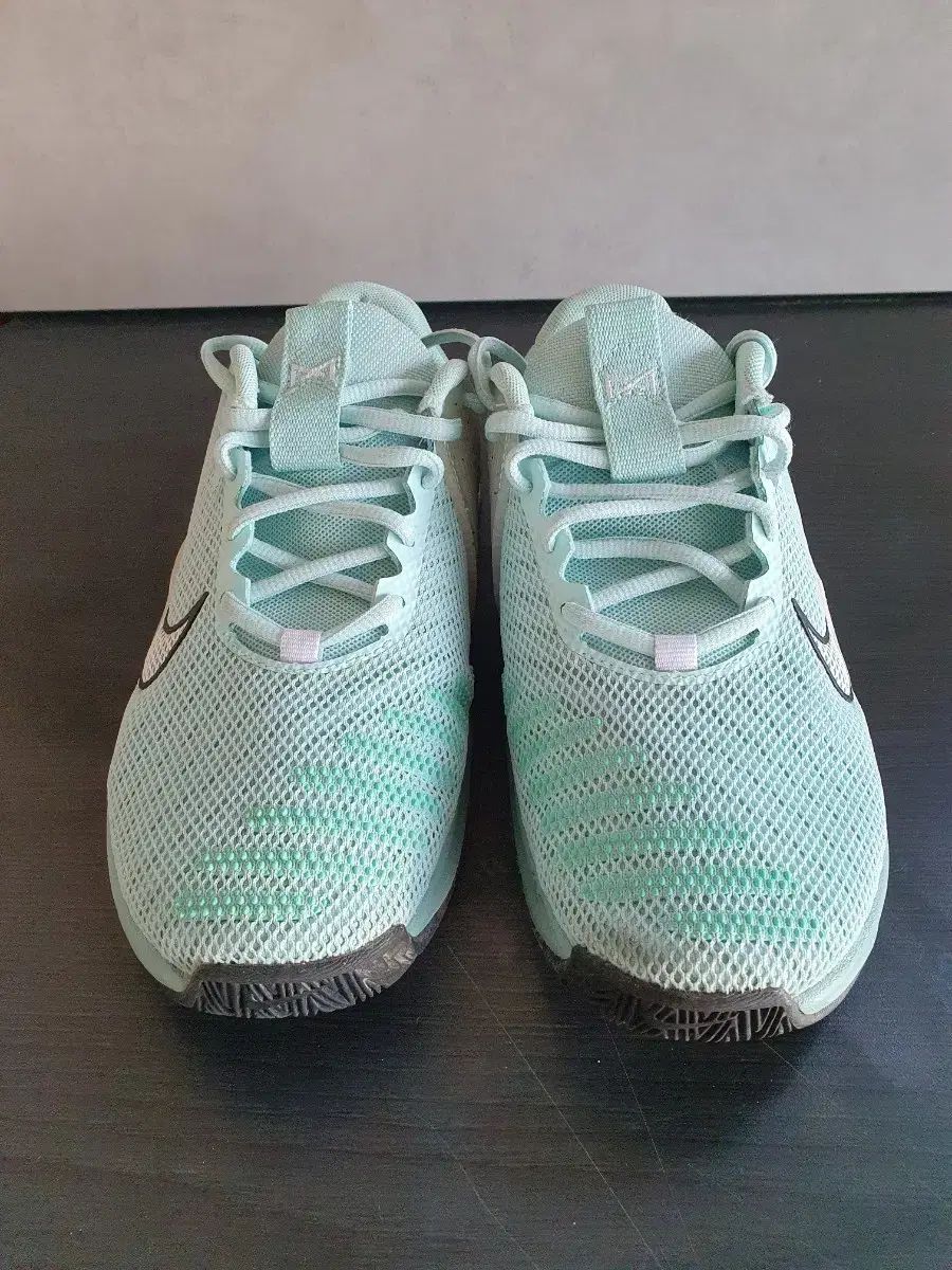 ナイキ メトコン