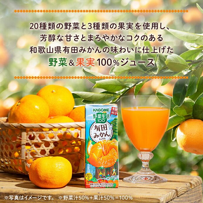 カゴメ 野菜生活100 有田みかんミックス 195ml紙パック&times;24本入&times;(2ケース)| 送料無料 野菜ジュース 野菜生活 みかんジュース ミックス ミカン