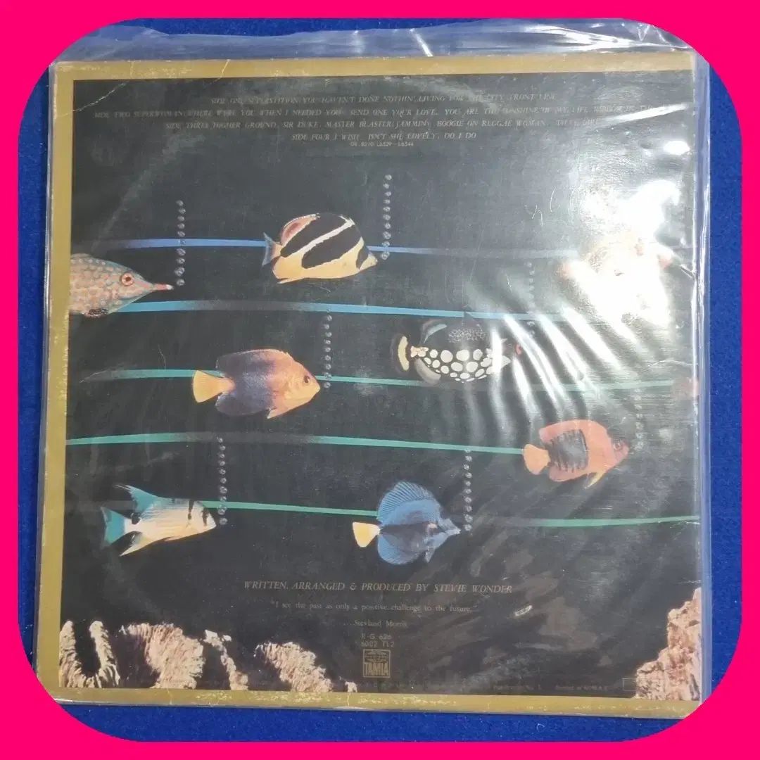 スティービー ワンダー LP NM ／ 【公式通販】