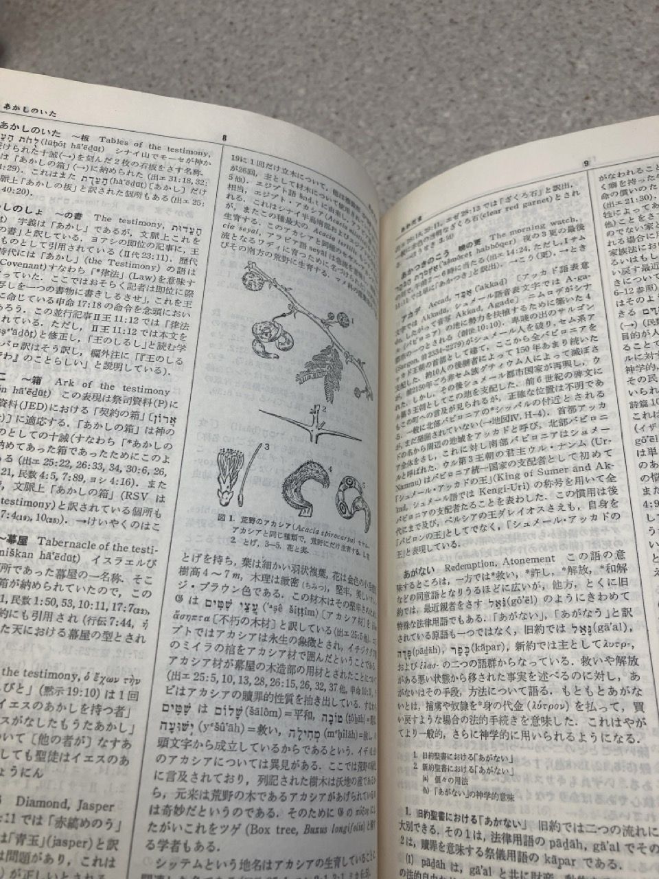新聖書大辞典 / 馬場嘉市編 / キリスト新聞社 / 昭和46年 1971年