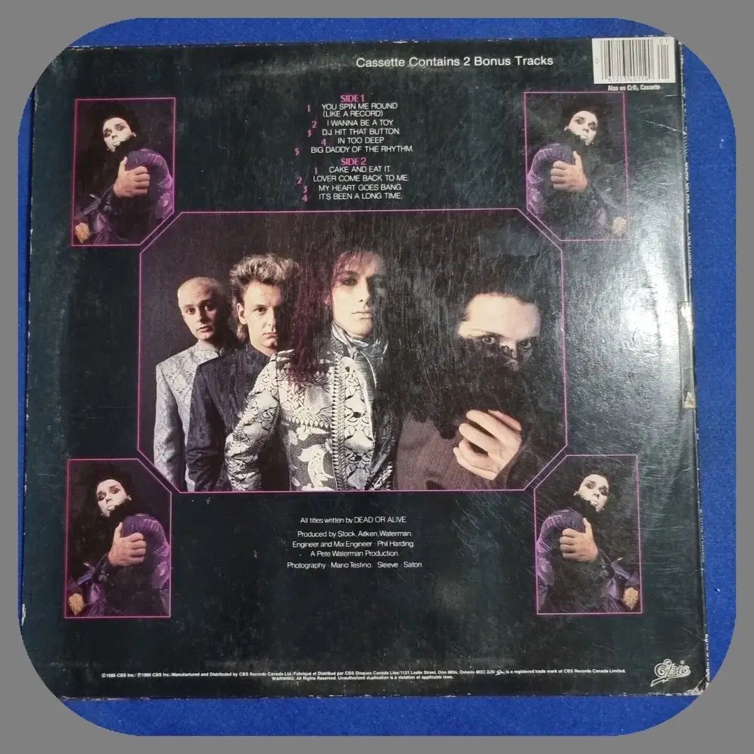 DEAD OR LIVE LP EX +/ MM 85 年 カナダ人 【公式通販】
