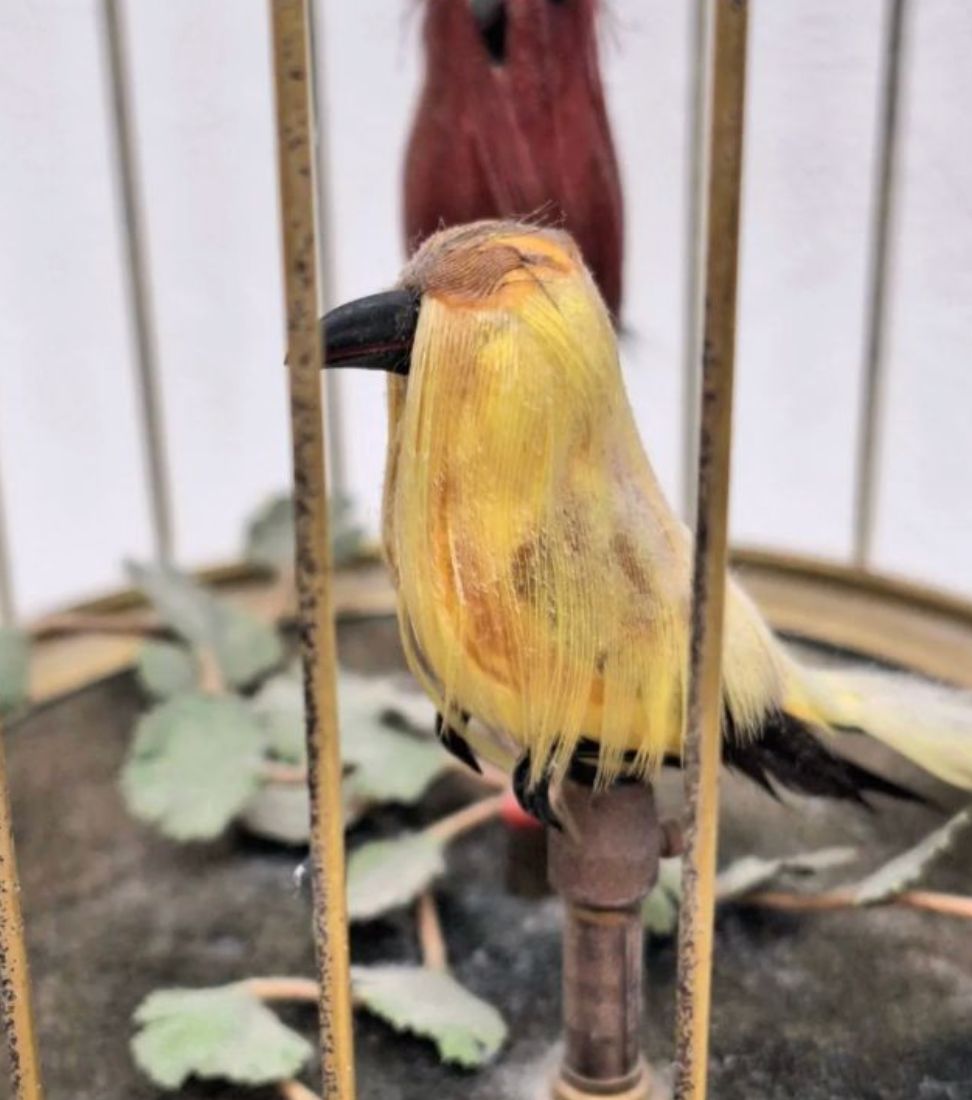 N【希少】reuge リュージュ社製 シンギングバード オルゴール