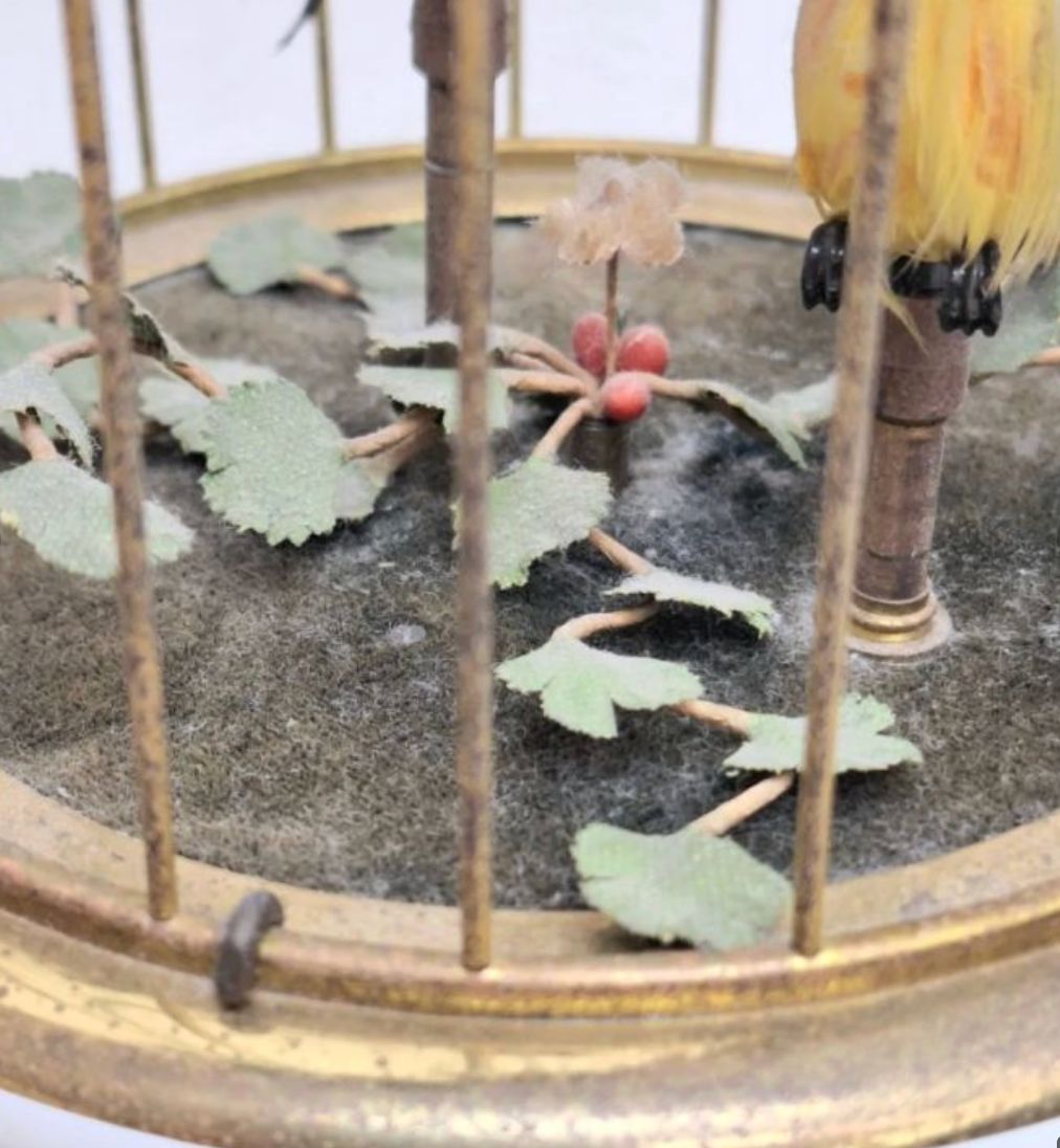 N【希少】reuge リュージュ社製 シンギングバード オルゴール