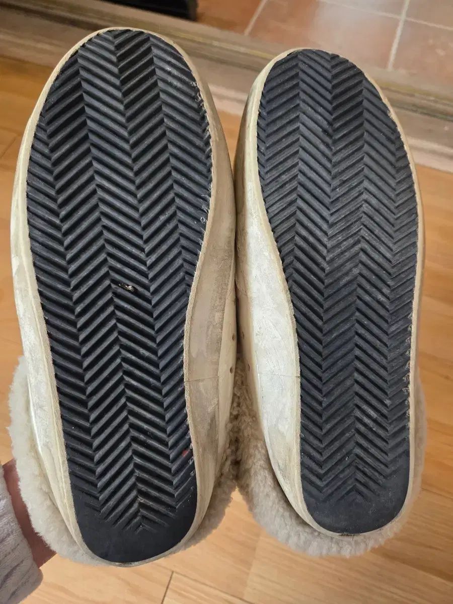 ゴールデングース