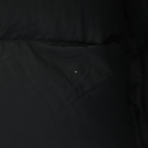  ザノースフェイス THE NORTH FACE ジュニア マクマードパーカー ダウンジャケット ロゴ フード ファー アウター 150 青 ブルー AN 44 その他 ジャケット ブルゾン