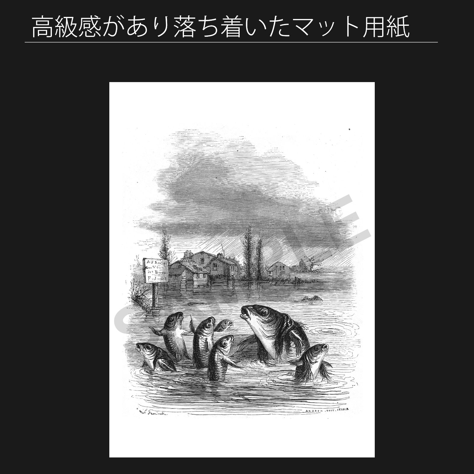 J グランヴィル Grandville 鯉とカルピヨン フロリアンの寓話 1842年 アートポスターA 2 マット紙 フレーム付 IN