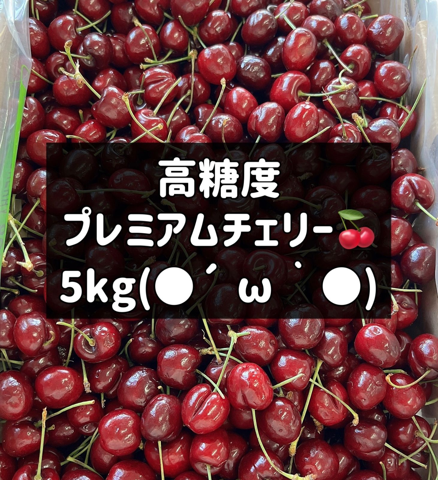 高級プレミアムチェリー 5kg 糖度23.4度 - メルカリ