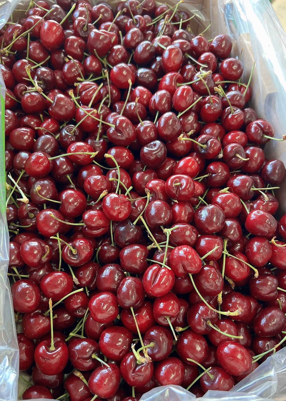 高級プレミアムチェリー 5kg 糖度23.4度＊クール便 - メルカリ