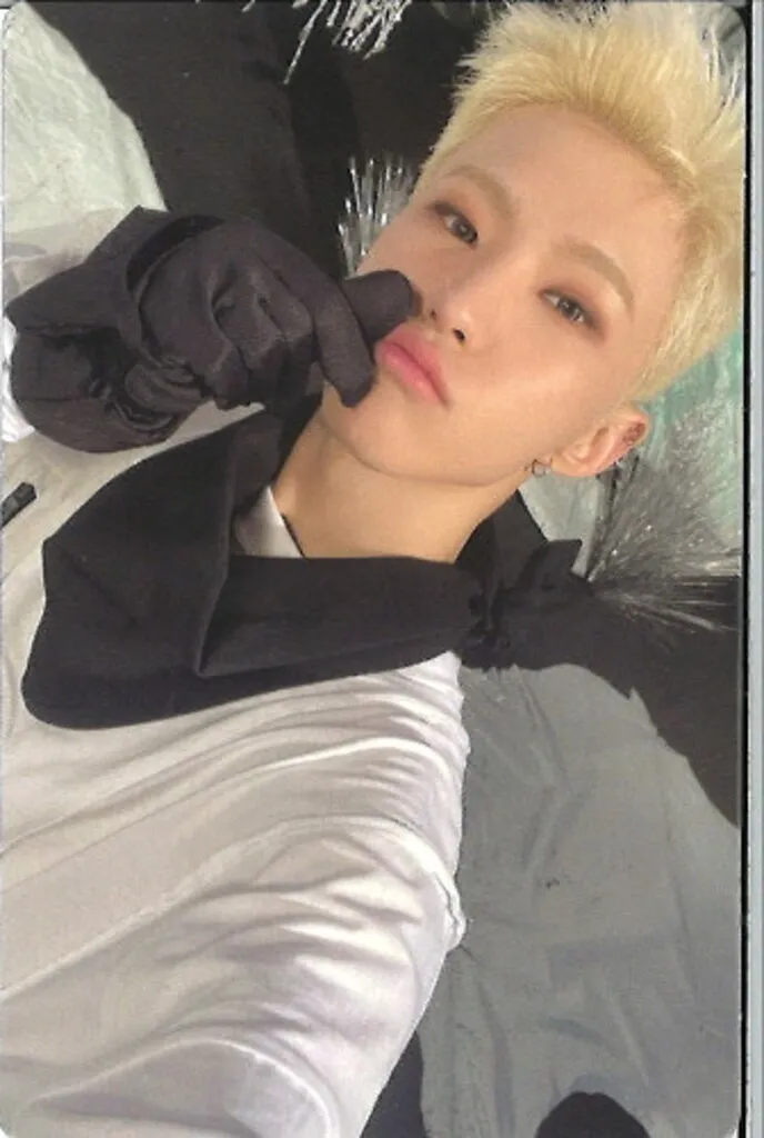 Hoshi – Sector 17 core album photocard photocard