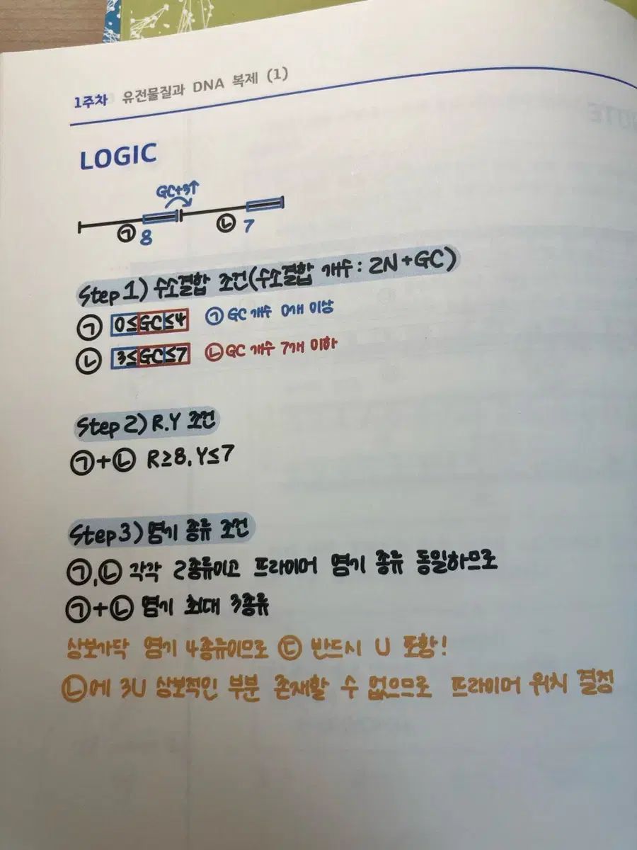 u003cまとめu003e 2026 生2 イソジュン 時代人材 엑손(エキソン) イントロン(イントロン)