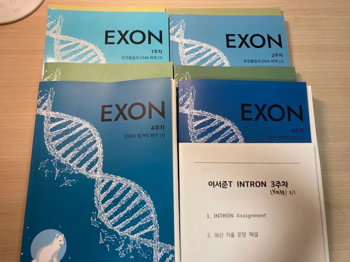 まとめ 2026 生2 イソジュン 時代人材 엑손 エキソン イントロン