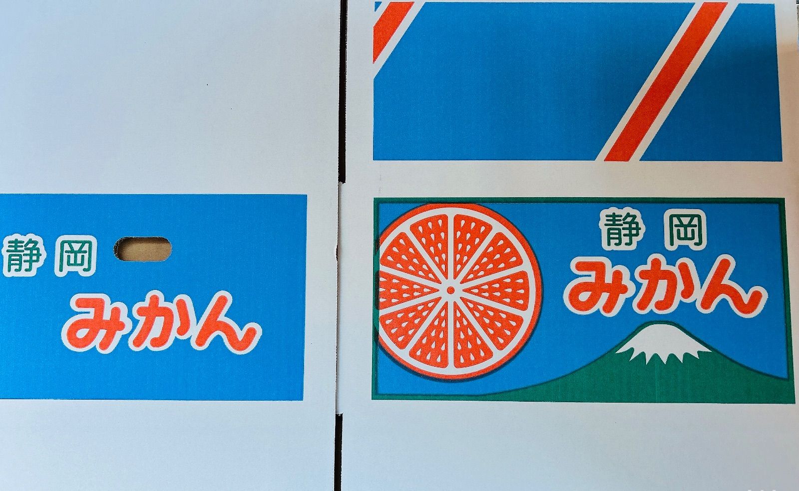 静岡県産 青島みかん 大玉10kg 農家直送 - メルカリ