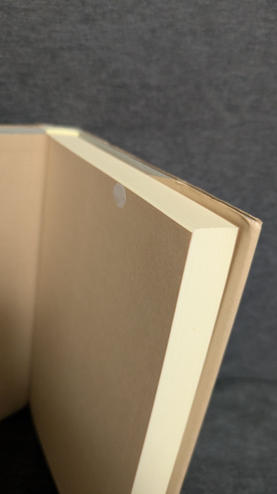 総力戦体制と地域自治: 本物 既成勢力の自己革新と市町村の政治 (雨宮