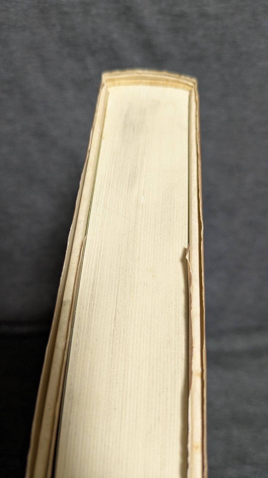 日本文学報国会: 大東亜戦争下の文学者たち (櫻本富雄/青木書店