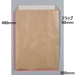 宅配平袋 A 3 2208907