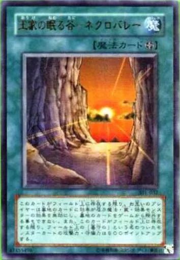 中古】遊戯王 301-032[UR]：王家の眠る谷-ネクロバレー- - メルカリ