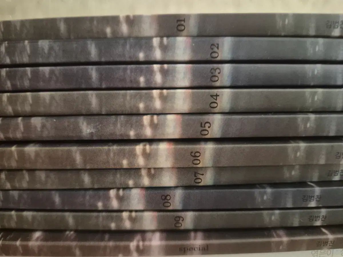 2026 時代人材 キム ボム KIM BOM ディノ DINO イチャン エピローグ 1 9巻