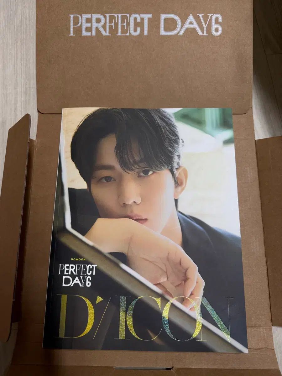 DICON ドウン 雑誌 出品 (開封のみ)