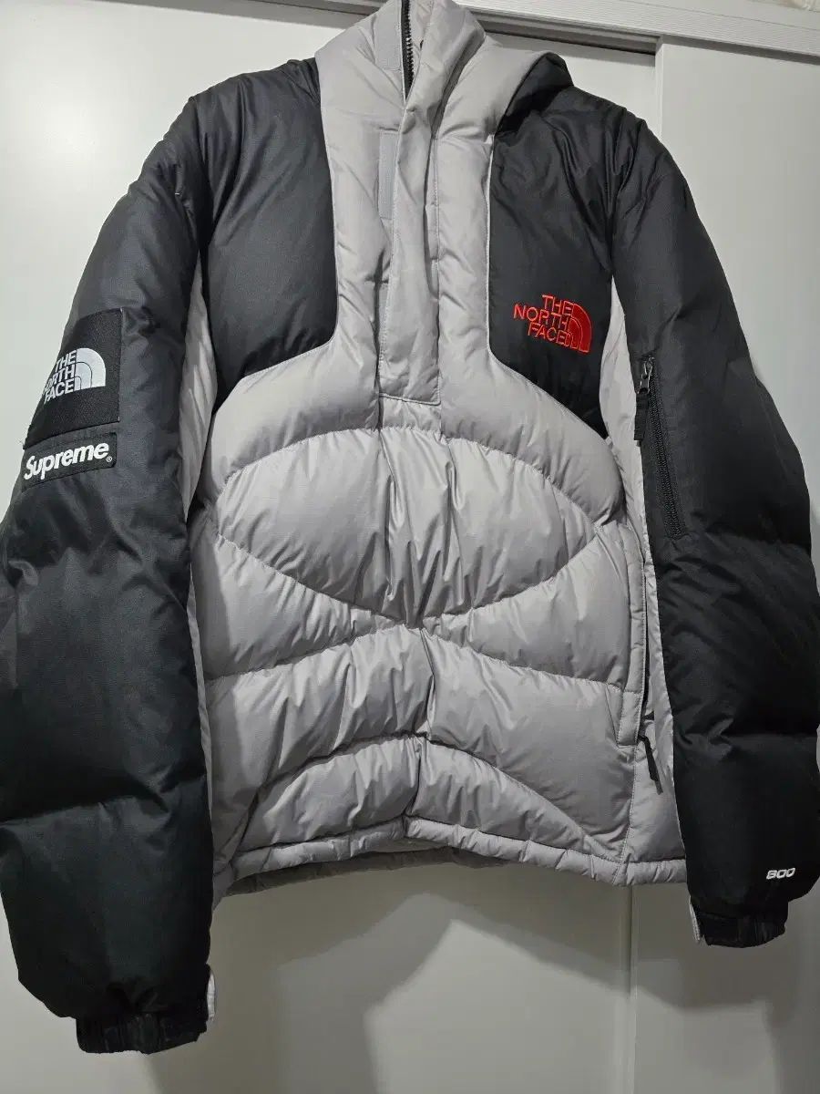 Supreme x THE NORTH FACE ザノースフェイス 800 ダウン